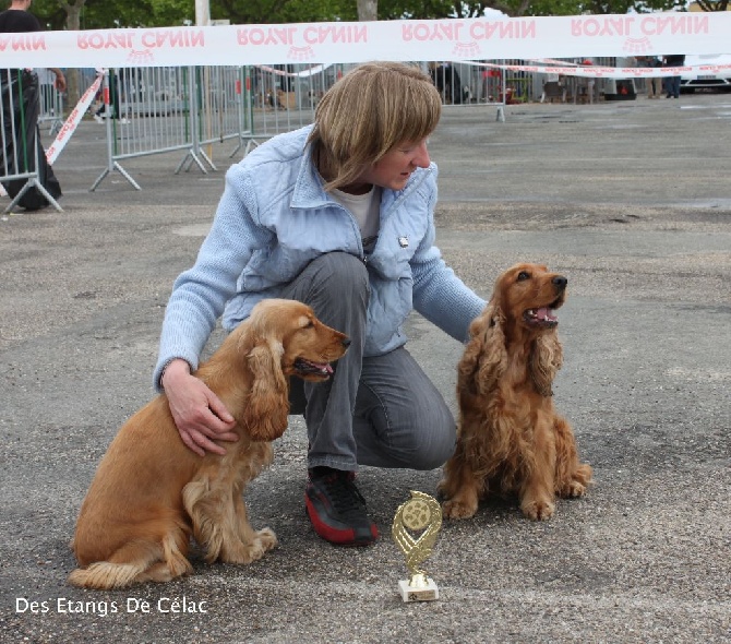 Des Etangs De Célac - Expédition à l'Exposition Canine Internationale de Marmande