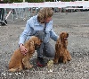  - Expédition à l'Exposition Canine Internationale de Marmande