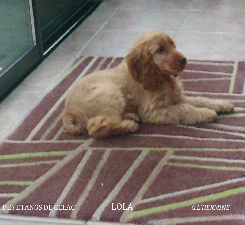 Lola Des Etangs De Célac